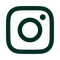 Social icon 1